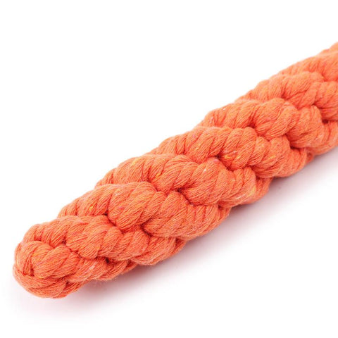 Carrot Pet Dog Chew Toy