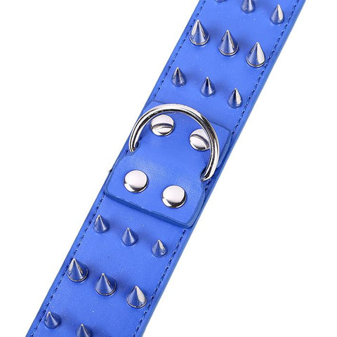 Sharp Spikes Dog Collar