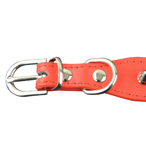 Round Spikes Dog Collars