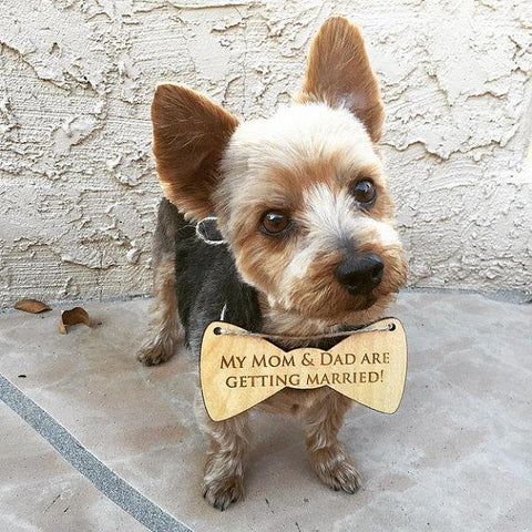 Engagement Pet Sign