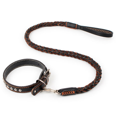 Premiun Doggy Leash