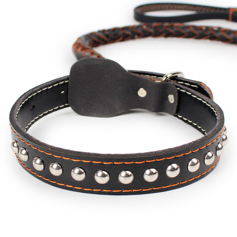 Premiun Doggy Leash