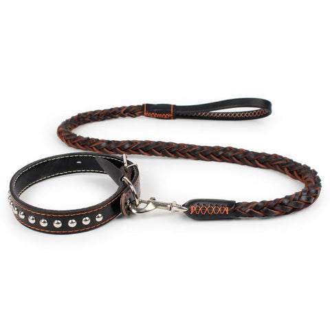 Large Dog Chain Leashes